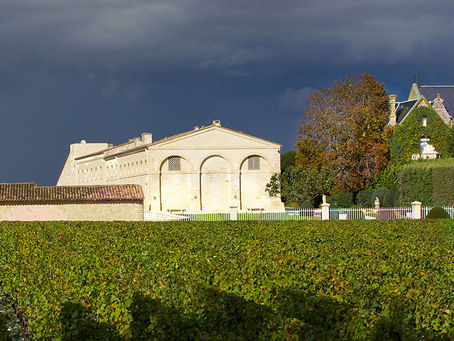 Ch. Mouton Rothschild - 2019 New Release Review