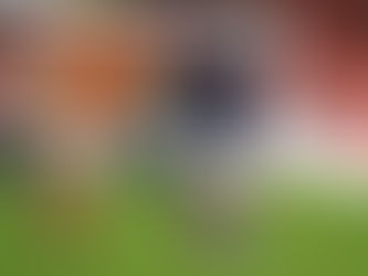 Stay Updated With The Buzz Of Football Game