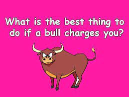 Free Funny Riddles And Puzzles Ideas