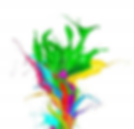 10945038_1548933892013115_76936220726410