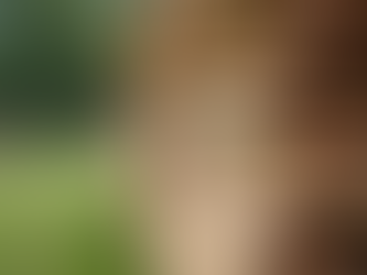 Top Tips for Choosing Quality Fencing Materials