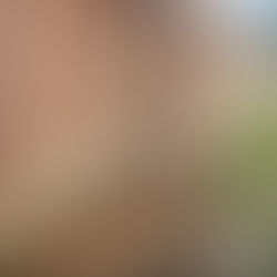 3 RAIL FENCE WITH POSTMASTER POSTS. DEFINITION OF SOLID. 