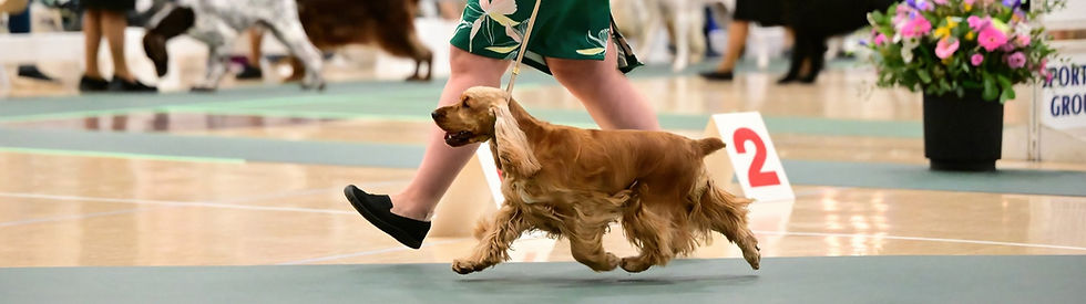 515503828_10062763907147979_7266201627076530069_n_edited.jpg