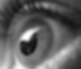 das Auge.jpg
