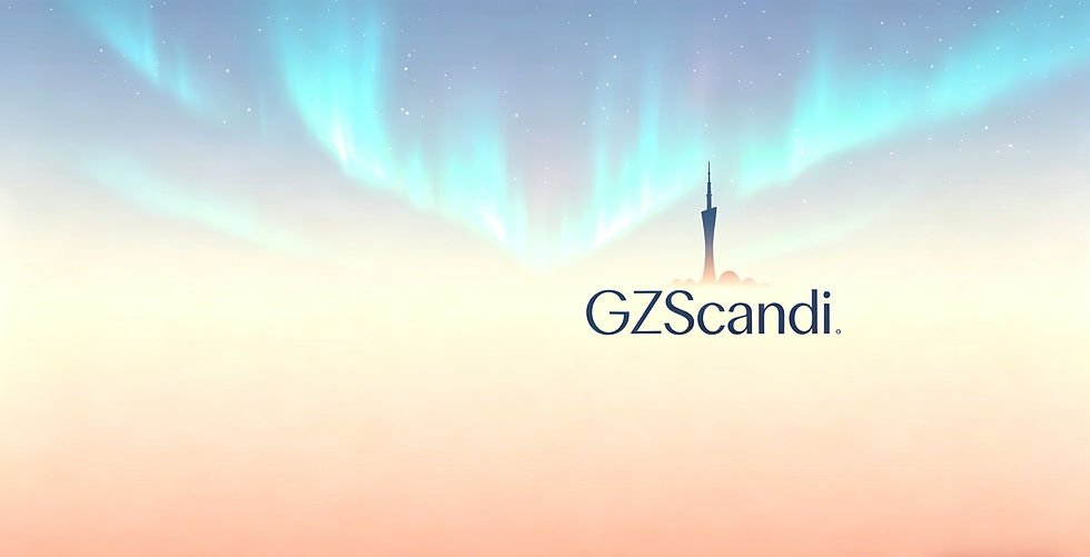 Scandi公司介绍 (11)_edited.jpg