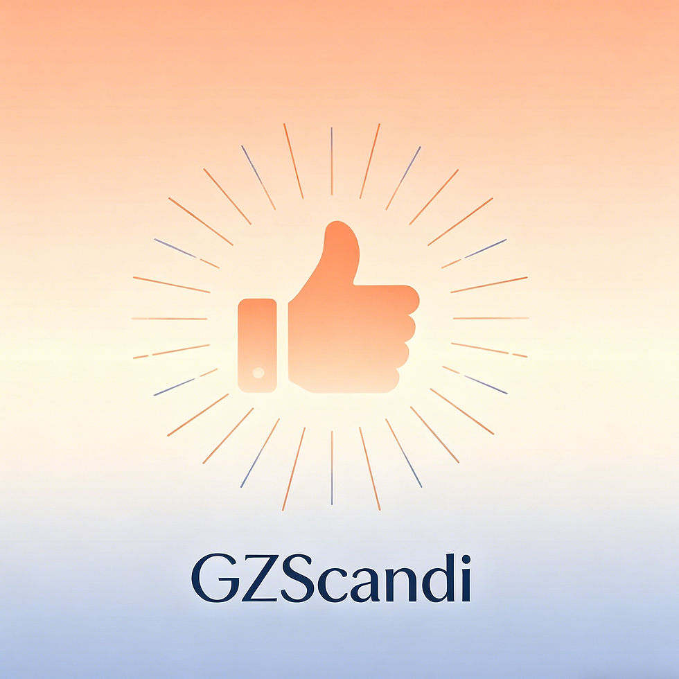 Scandi公司介绍 (18)_edited.jpg