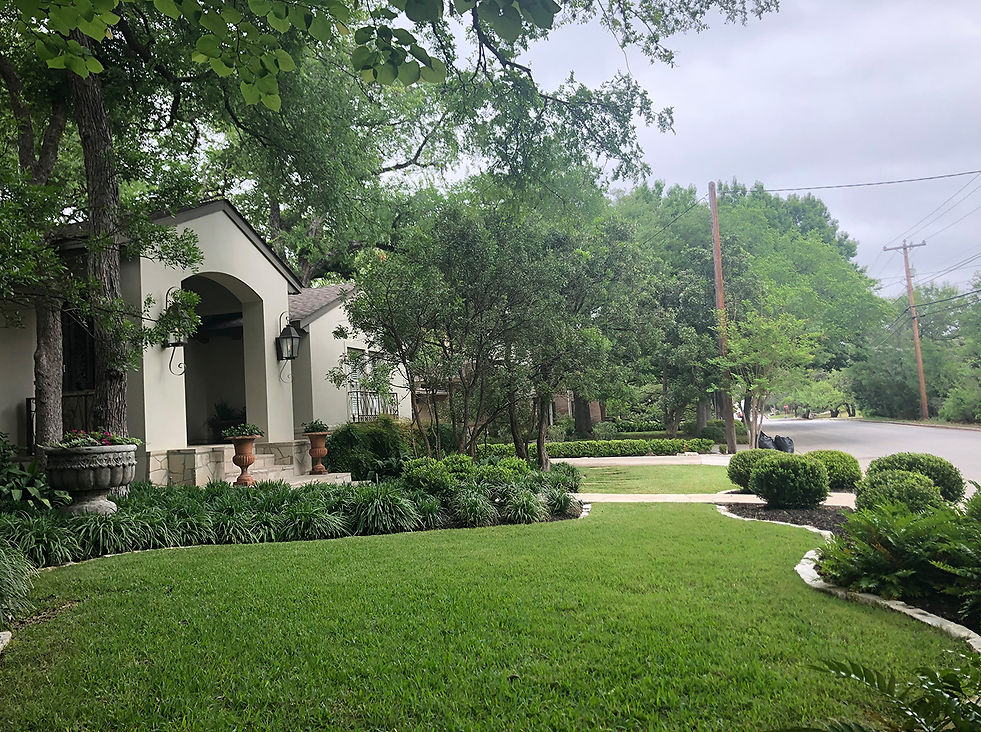 front yard landscape ideas Alamo Heights