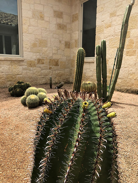 olmos park landscapers