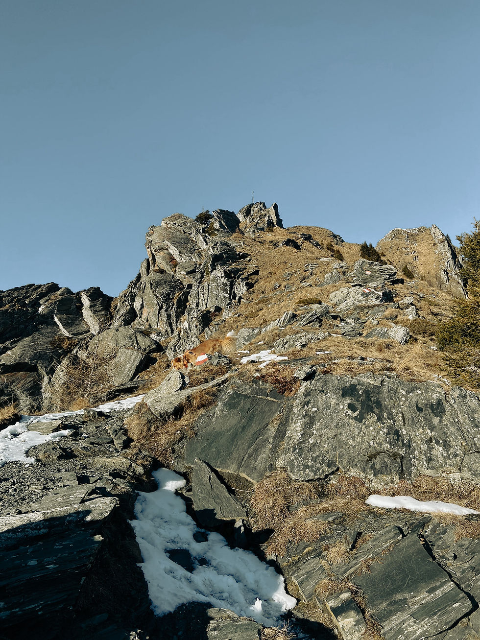 Blick zum Auernig Gipfelkreuz