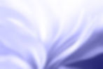 istockphoto-1363146237-612x612.jpg