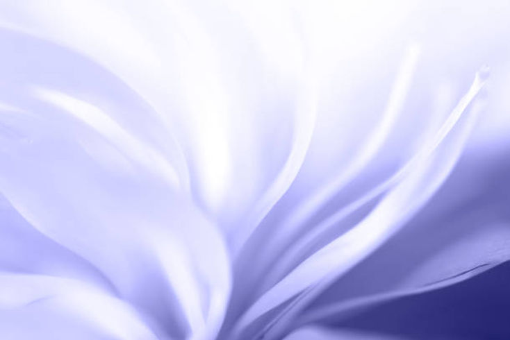 istockphoto-1363146237-612x612.jpg