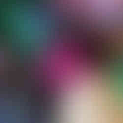 Young leaves different colour