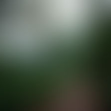 Damajagua Waterfalls…update below