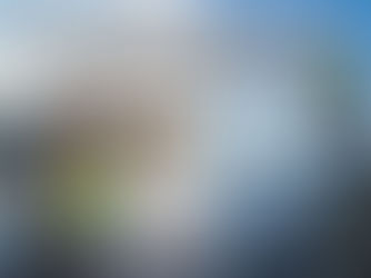 How to Clean Solar Panels: DIY or Hire Pros?