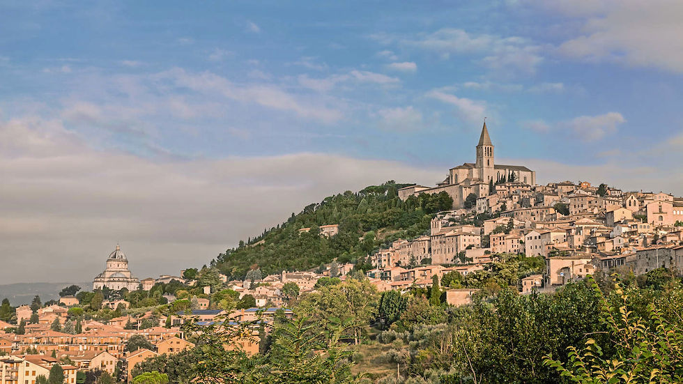 Todi