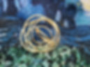 Screenshot_2026-07-13-22-15-55-03_754cf9a4094c34a8eeb04648e2e3eb8d