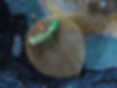 Screenshot_2026-07-13-20-30-23-04_4eb35ec74e289d512f4db1c472be1ff3