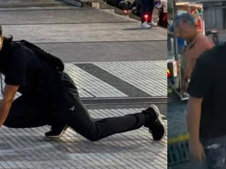 Therians en América Latina: ¿Llegaron a Ibagué? 