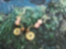 Screenshot_2026-07-13-22-19-01-48_754cf9a4094c34a8eeb04648e2e3eb8d