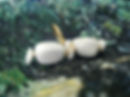 Screenshot_2026-07-13-22-21-12-07_754cf9a4094c34a8eeb04648e2e3eb8d