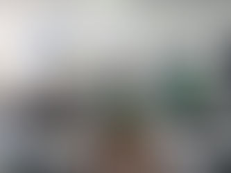 El Encuentro Suramericano por la Cordillera de Los Andes marca un paso histórico hacia la cooperación ambiental del continente