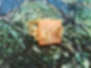 Screenshot_2026-07-13-22-20-29-27_754cf9a4094c34a8eeb04648e2e3eb8d