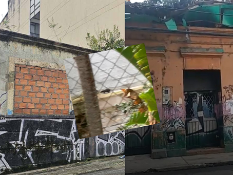 Entre ratas y ruinas: vecinos de La Pola denuncian abandono de predios que ponen en riesgo la salud pública