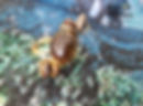 Screenshot_2026-07-13-22-18-22-95_754cf9a4094c34a8eeb04648e2e3eb8d