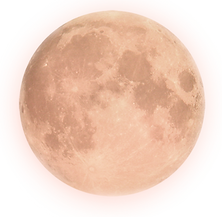 Products (3).png
