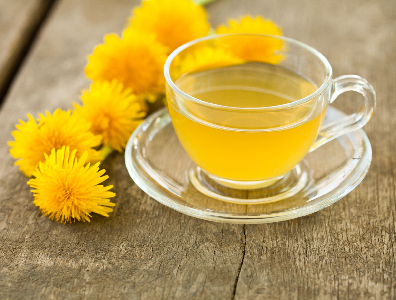 Dandelion Tea