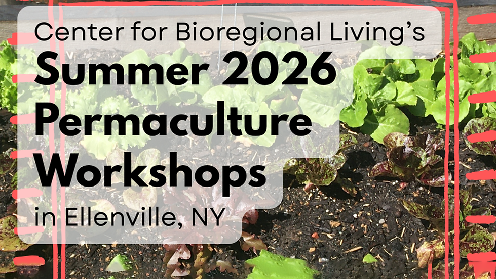NEXT CLASS -Natural Bioregional Building - June 6 & 7 - Two day classes - 10am to 3pm