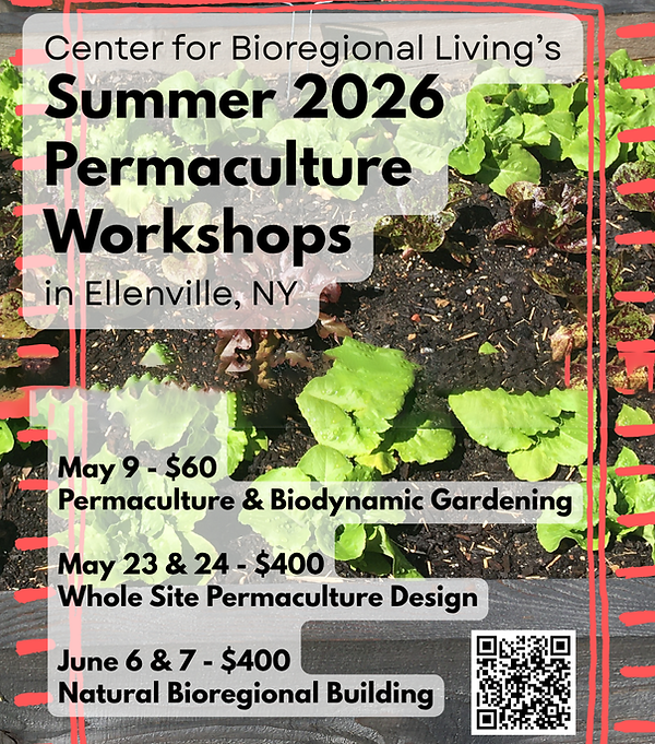 Summer 2026 Ellenville Workshops(1).png