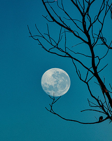Photo by Ralph Mayhew on Unsplash
