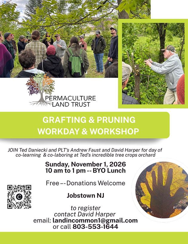 NJ Grafting Pruning.png