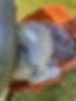 66100EC9-BDCC-4444-8289-80DF358C3194.jpeg
