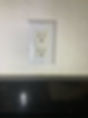 09EEF039-1155-4466-85ED-5EAA515893FF.jpeg