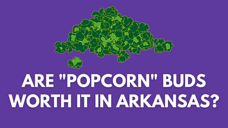 Are “Popcorn” Buds Worth it in Arkansas?
