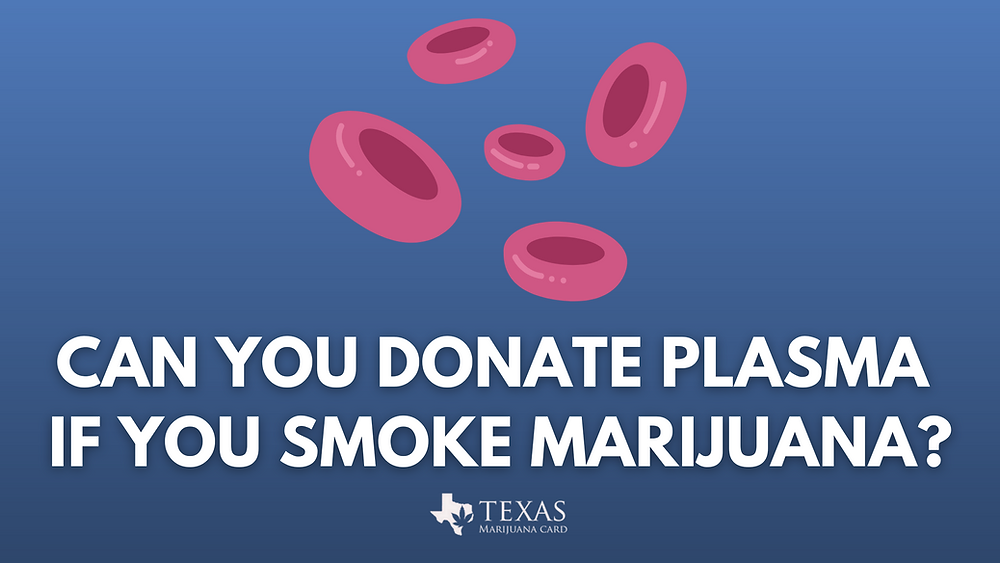 how much is elf bar vape Can You Donate Plasma If You Smoke Marijuana? 2023 Guide to Cannabis Use & Donating  Blood
