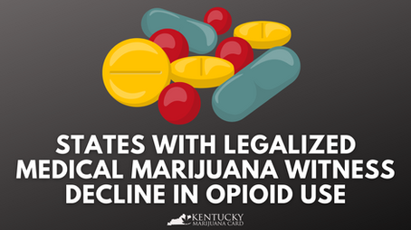 Can Marijuana Use Prevent Opioid Use?