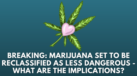 Breaking: Marijuana Set to Be Reclassified as Less Dangerous - What Are the Implications?