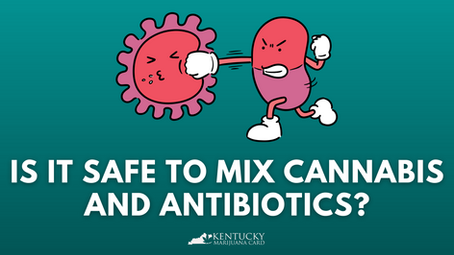 Is it Safe to Mix Cannabis and Antibiotics? Exploring the Potential Interactions
