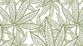 leaf_bg_big.jpg