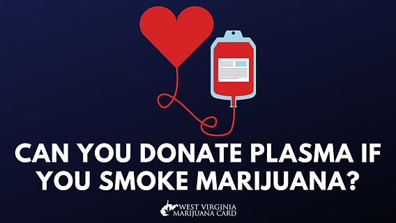 how much is elf bar vape Can You Donate Plasma If You Smoke Marijuana? 2023 Guide to Cannabis Use & Donating  Blood main image 1