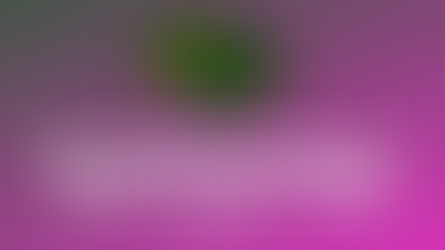 PGR Problem Weed and How to Spot Them