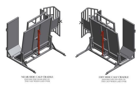 Calf Cradle NS and OS