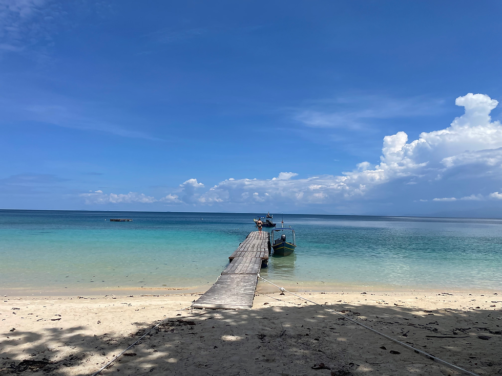 A Journey Towards Responsible Travel with Bubbles Dive Resort and Bubbles Turtle Conservation in Pulau Perhentian, Malaysia. 
