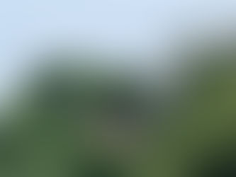 Le 6 Juillet 2025, Messe dominicale à la « Chapelle dite des Maquisards »