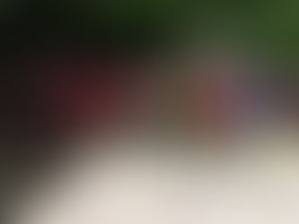 Le 9 Juillet 2025, des SNU au Maquis