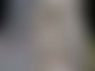 Le 25 Juin 2023, Porte ouverte au Maquis