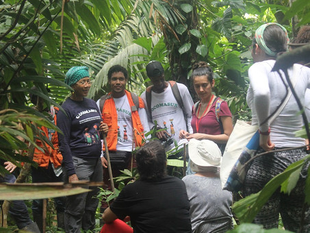 Periodistas latinoamericanos visitan Colombia para entender el rol de los bosques en la mitigación d